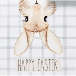 4BU202 Easter Bunny Greeting Card