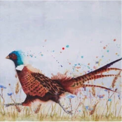 4PH101 Running Pheasant Greeting Card