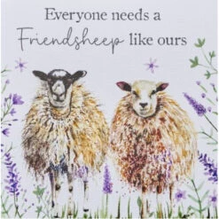 4SP930 Friendsheep Greeting Card