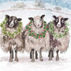 XC22164 Christmas Sheep (Pk 8)