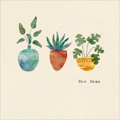 FP5132 Three Pot Plants (New Home)