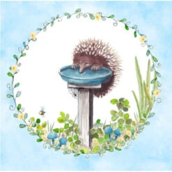 JC050 Echidna On Birdbath Greeting Card