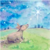 JC057 Donkey Christmas Card