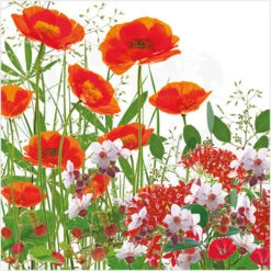 WS416S Poppies And Wildflowers