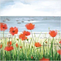 WS417S Coastal Poppies