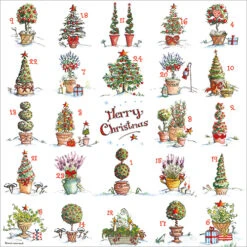 XAC13S Festive Pots Advent Card
