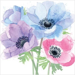 WS498 Anemones